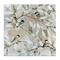 Stupell Industries Chickadee Birds on Branches Canvas Wall Art